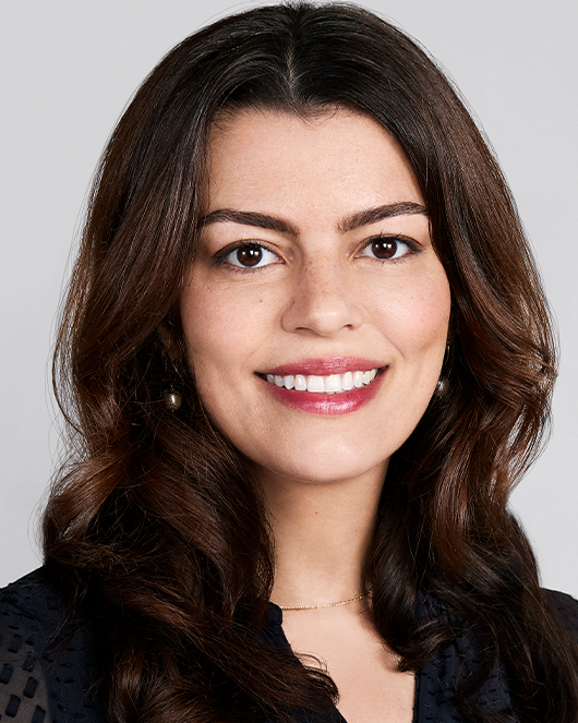 Portrait of Vision Fund Director, Amer, Daniela Llobet