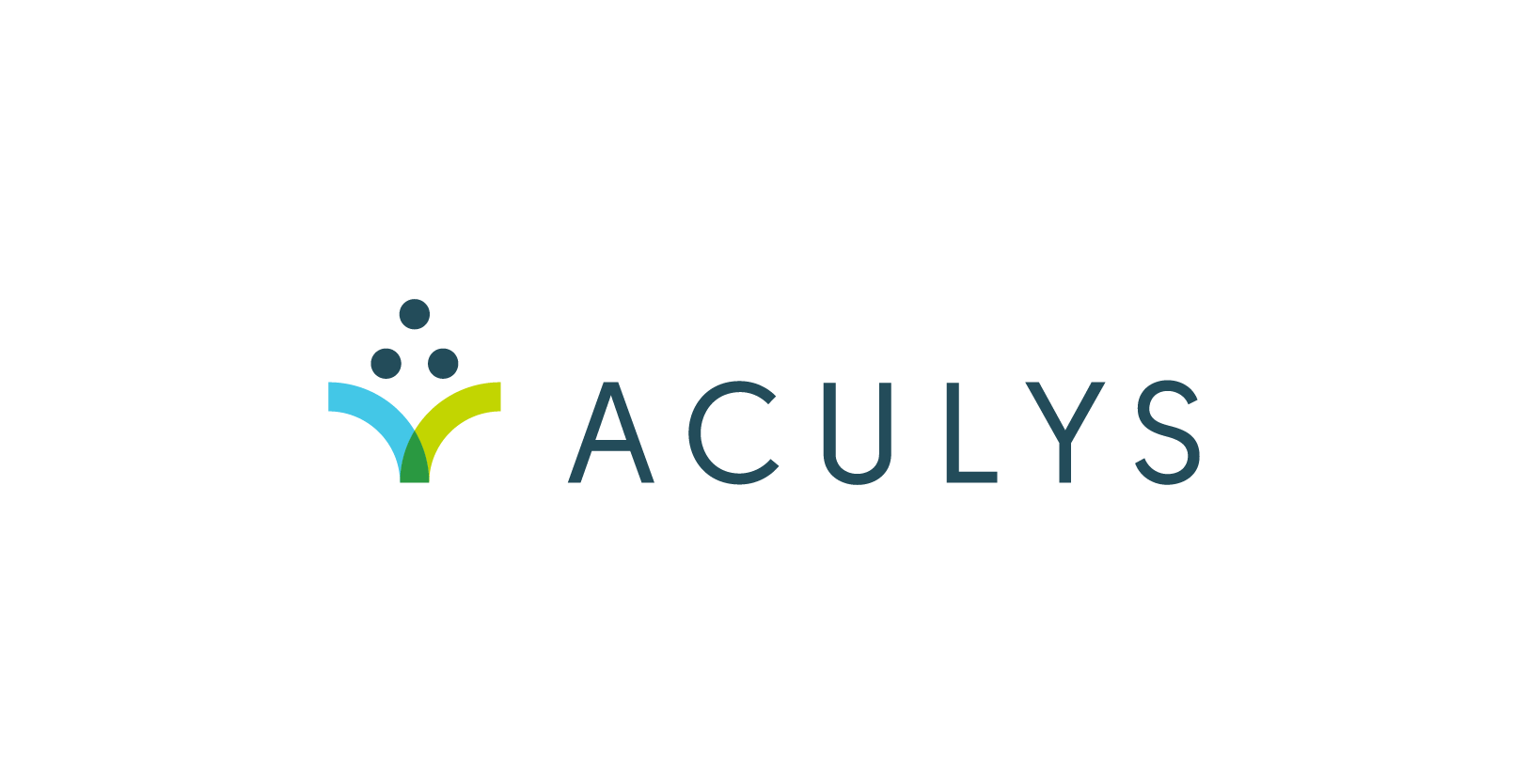 VisionFund Portfolio Company Aculys's Logo