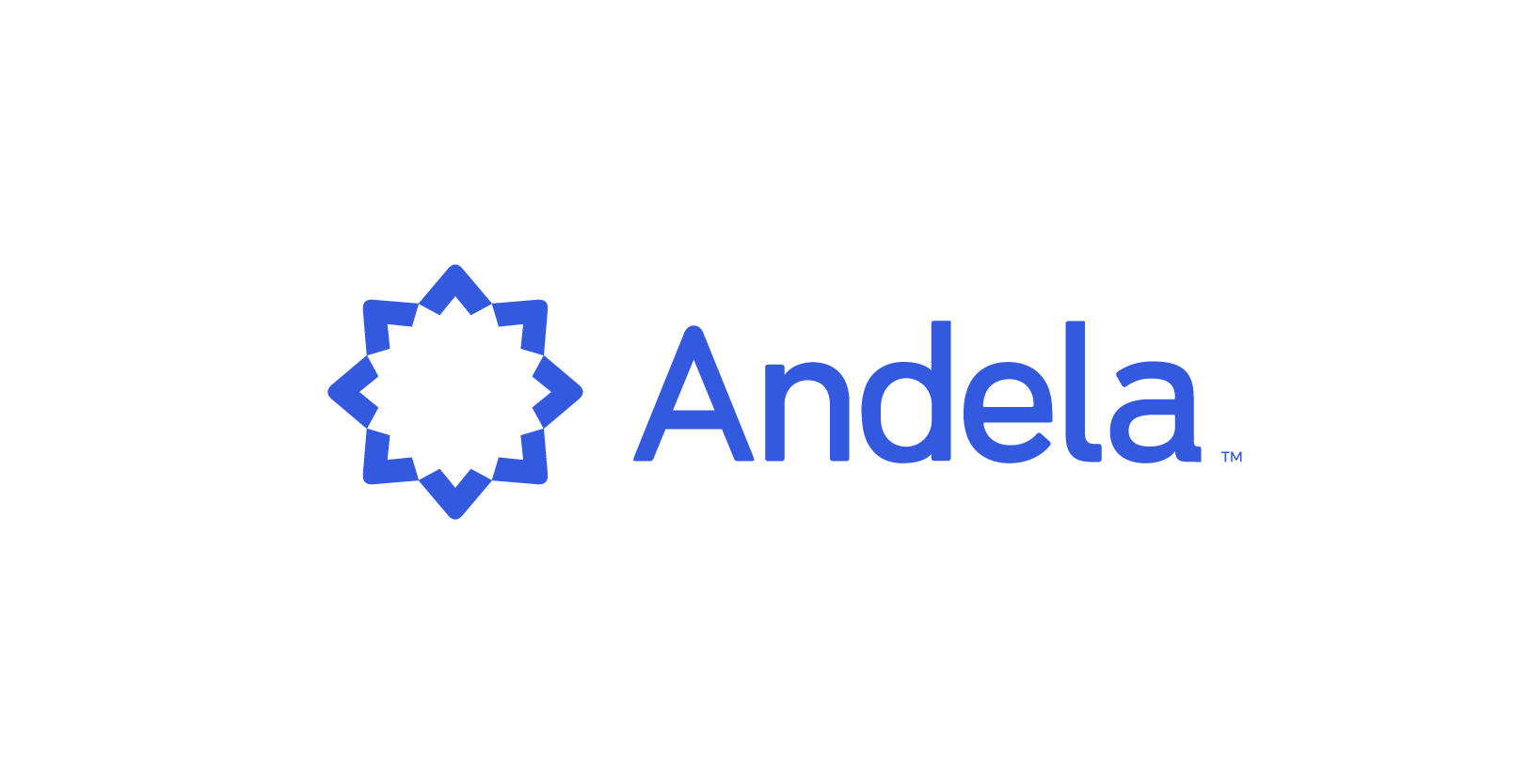 VisionFund Portfolio Company Andela's Logo
