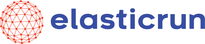 Vision Fund investment portfolio company ElasticRun's logo