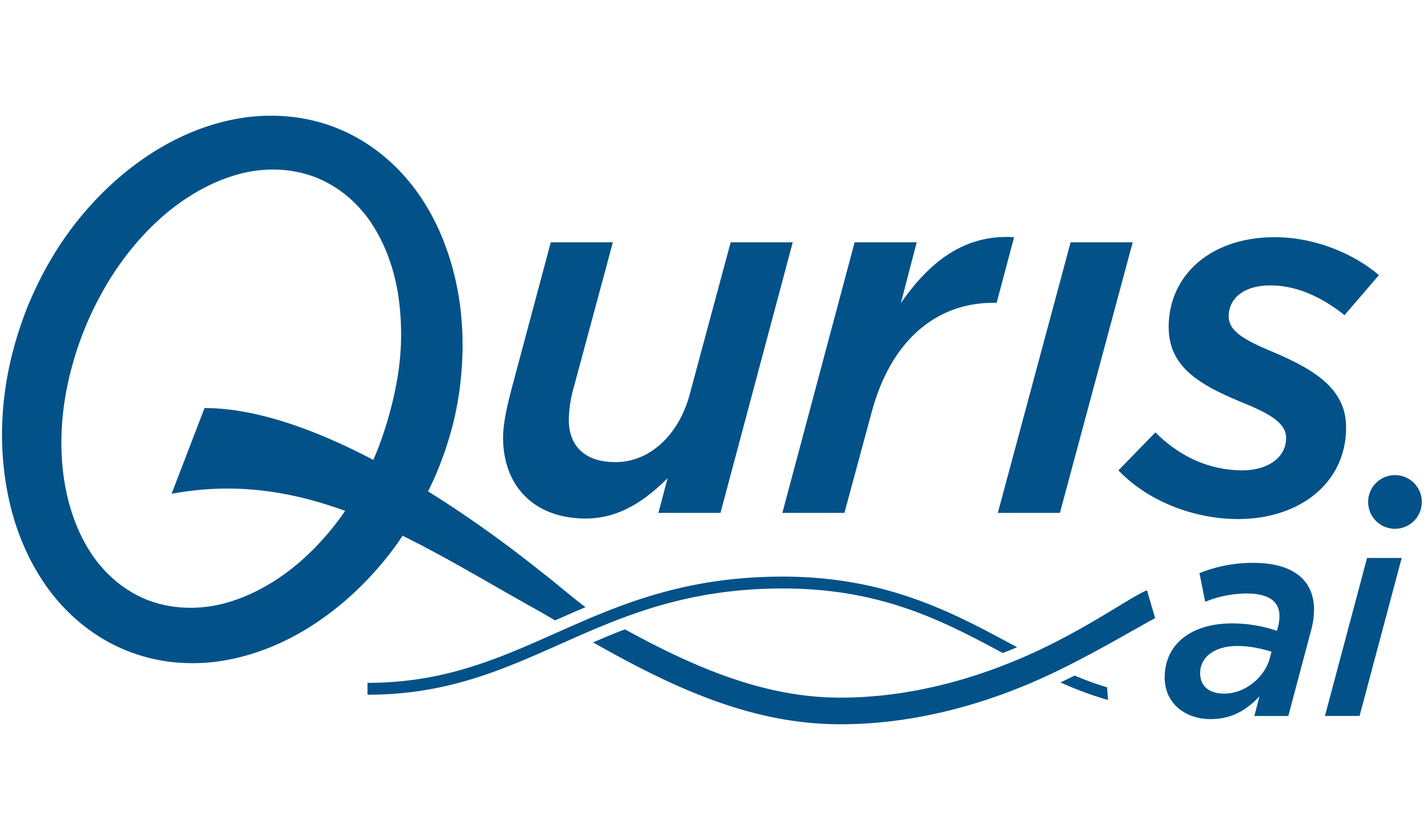 Vision Fund investment portfolio company Quris's logo