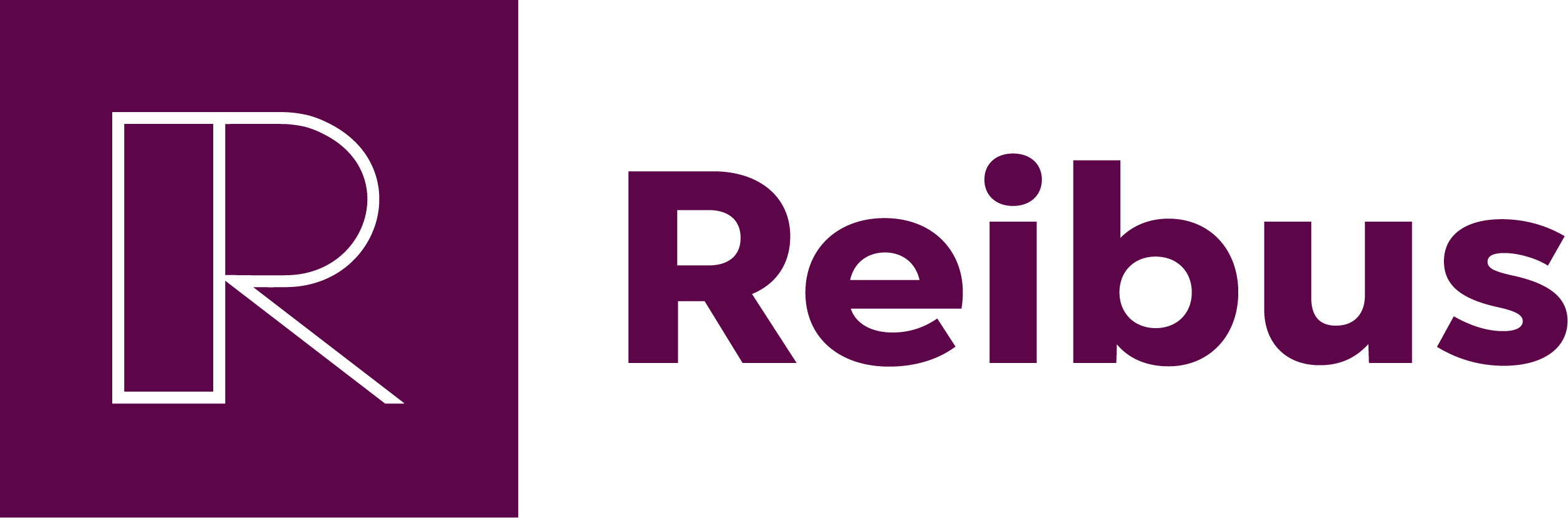 Vision Fund investment portfolio company Reibus's logo