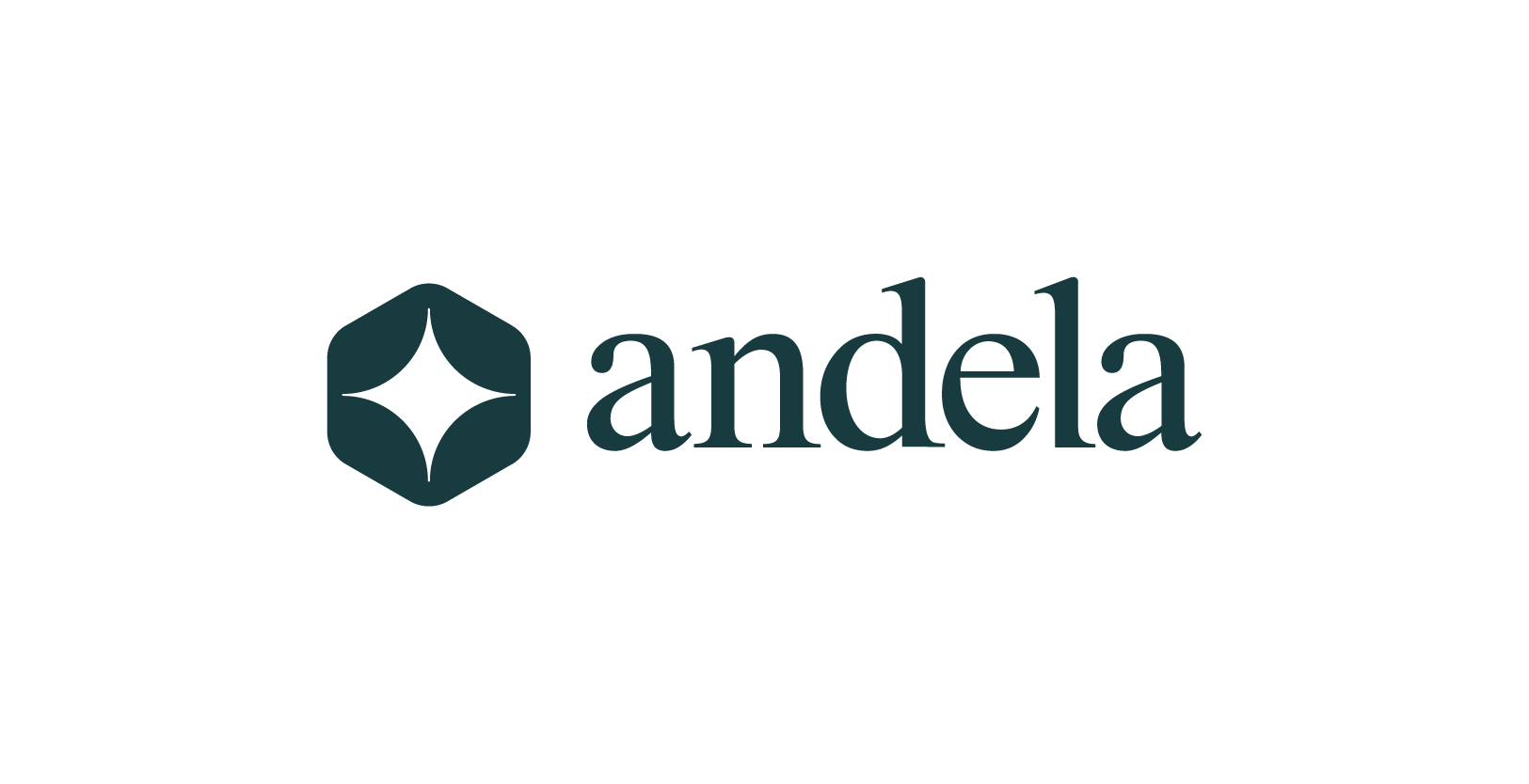 Vision Fund investment portfolio company Andela's logo