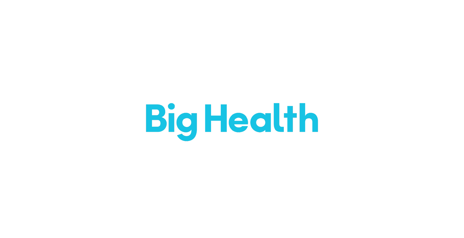 Vision Fund investment portfolio company Big Health's logo