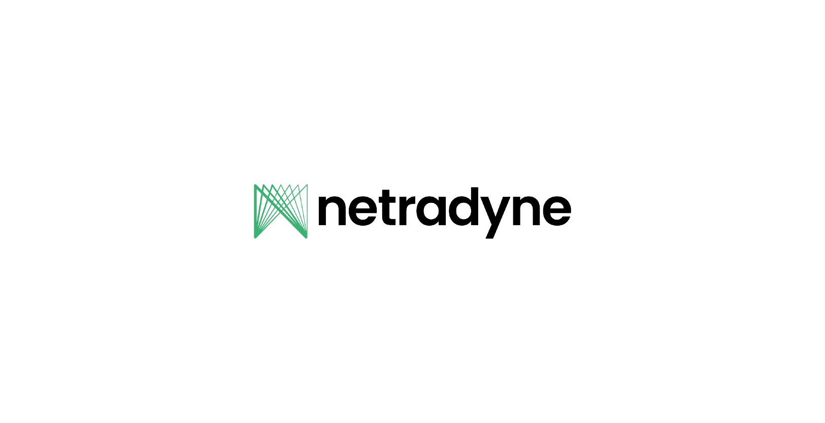 Vision Fund investment portfolio company Netradyne's logo