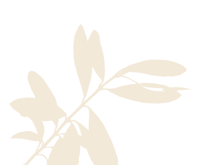 Illustration of silhouette of a plant